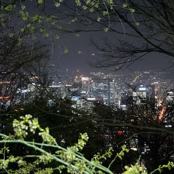 로열 유정스튜디오 홈타이 제휴업체 이미지