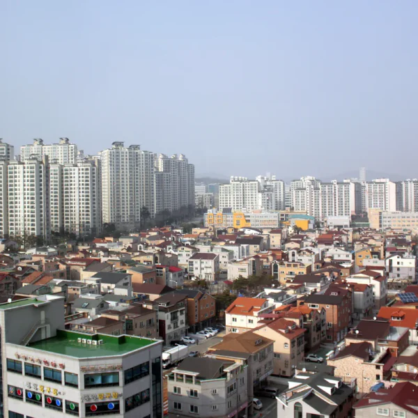 프리미엄 리브하우스 테라피 안내 이미지