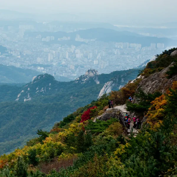 로열 프라임스튜디오 마사지 안내 이미지